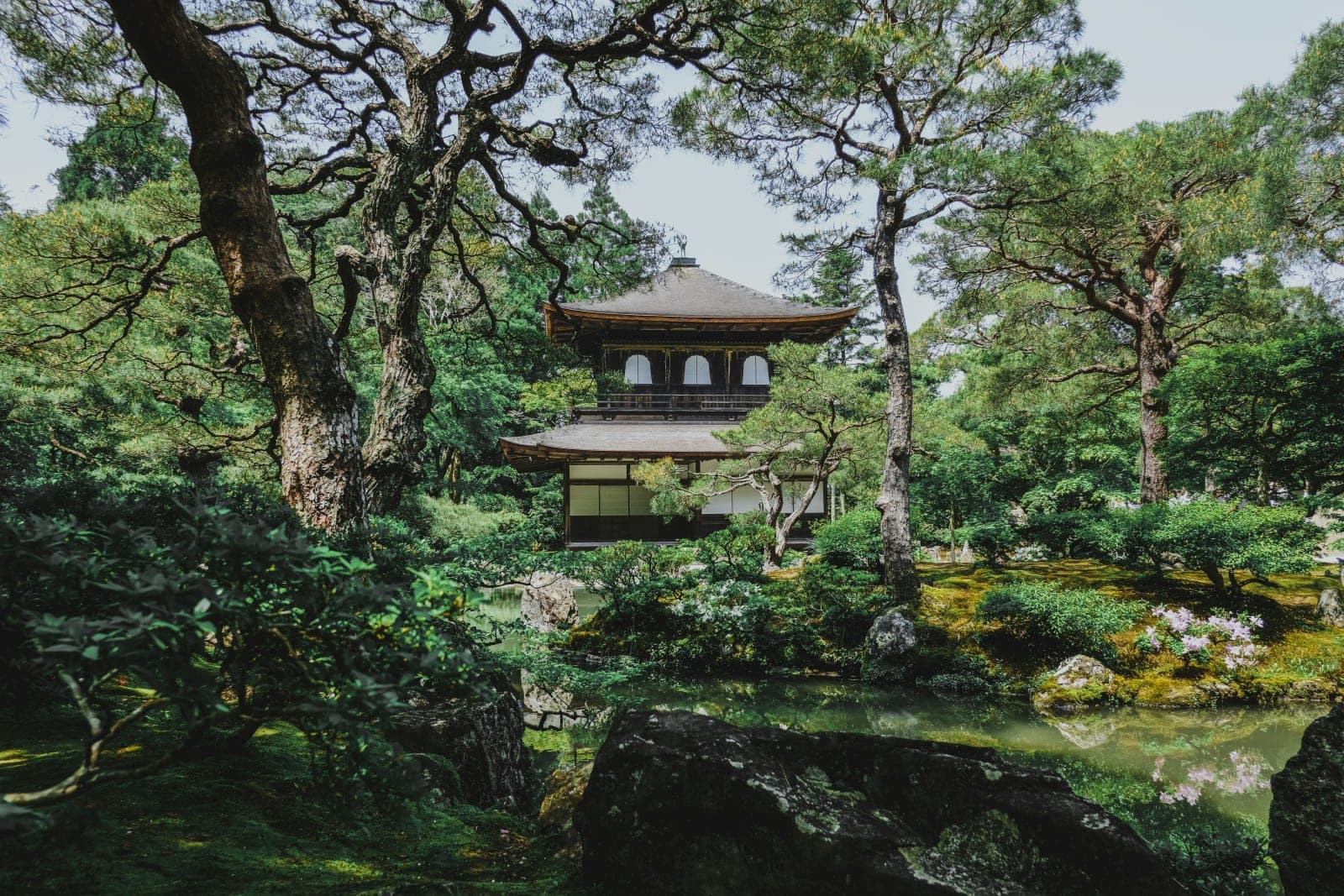 Traditional Japanese temple surrounded by lush greenery and trees, with a reflective pond and moss-covered rocks in the foreground, captured on a bright day.